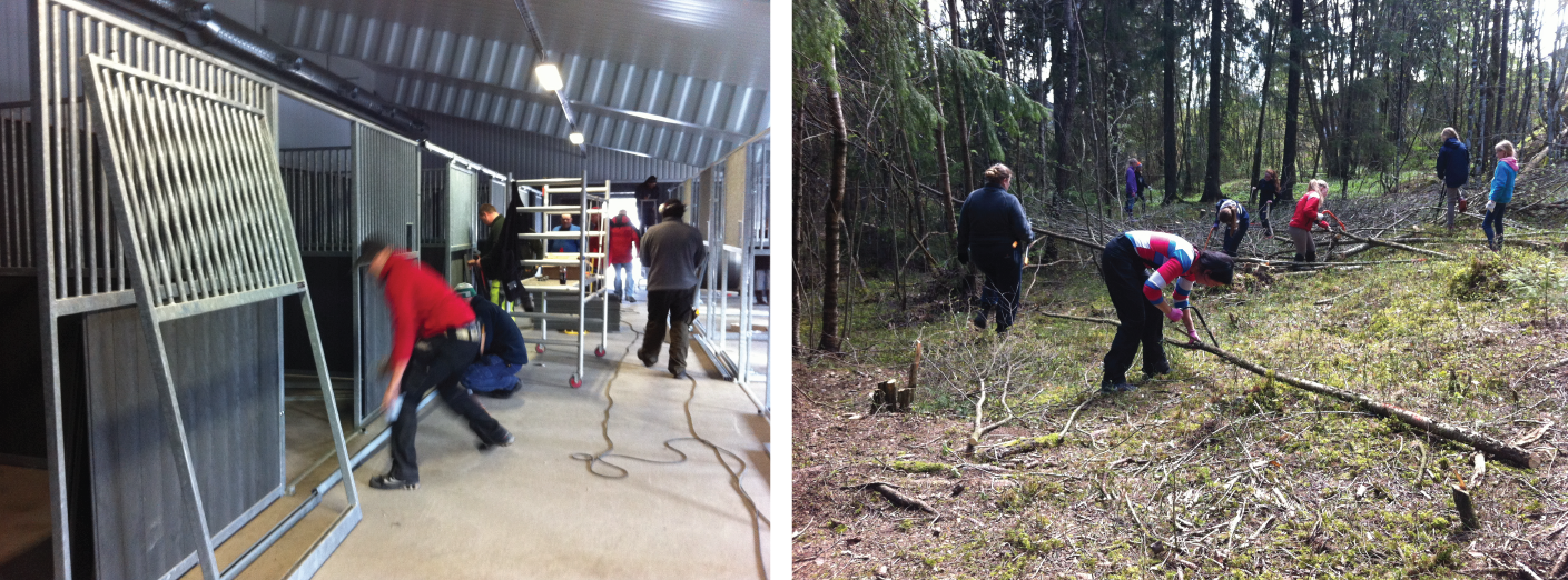To bilder fra dugnadsarbeid for Askim hestesportsenter. Til venstre: Arbeid med stall. Til høyre: Arbeid i skogen.