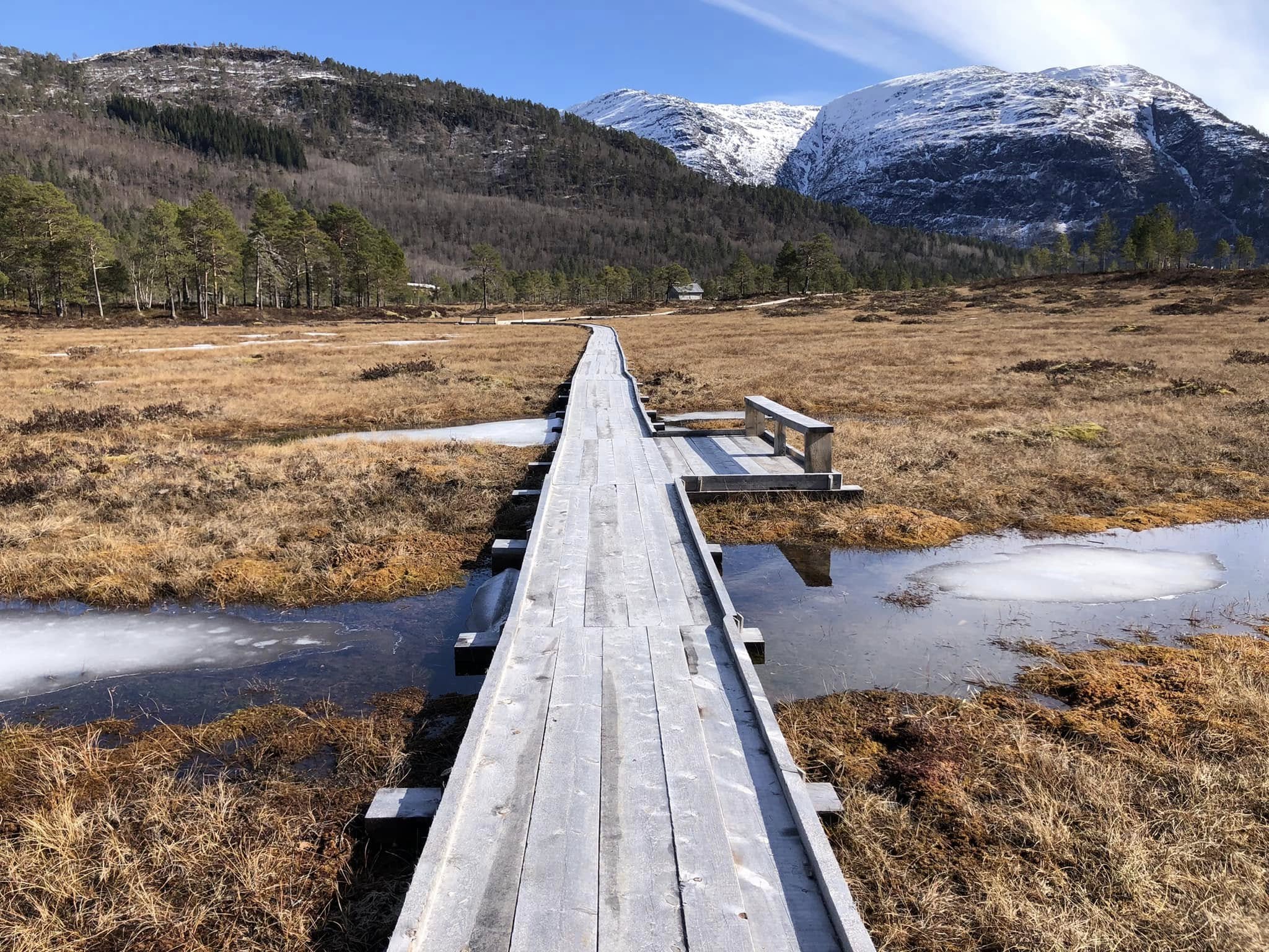 Surnadalskloppa en vårdag, fortsatt noe is igjen på myra