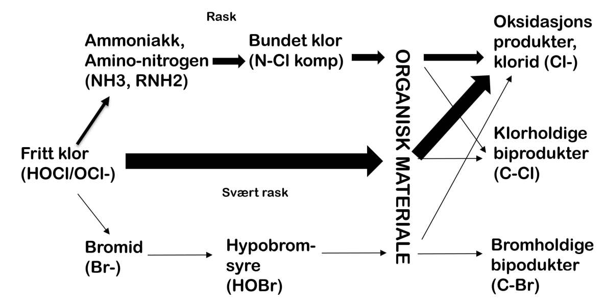 Grafisk reaksjonskart