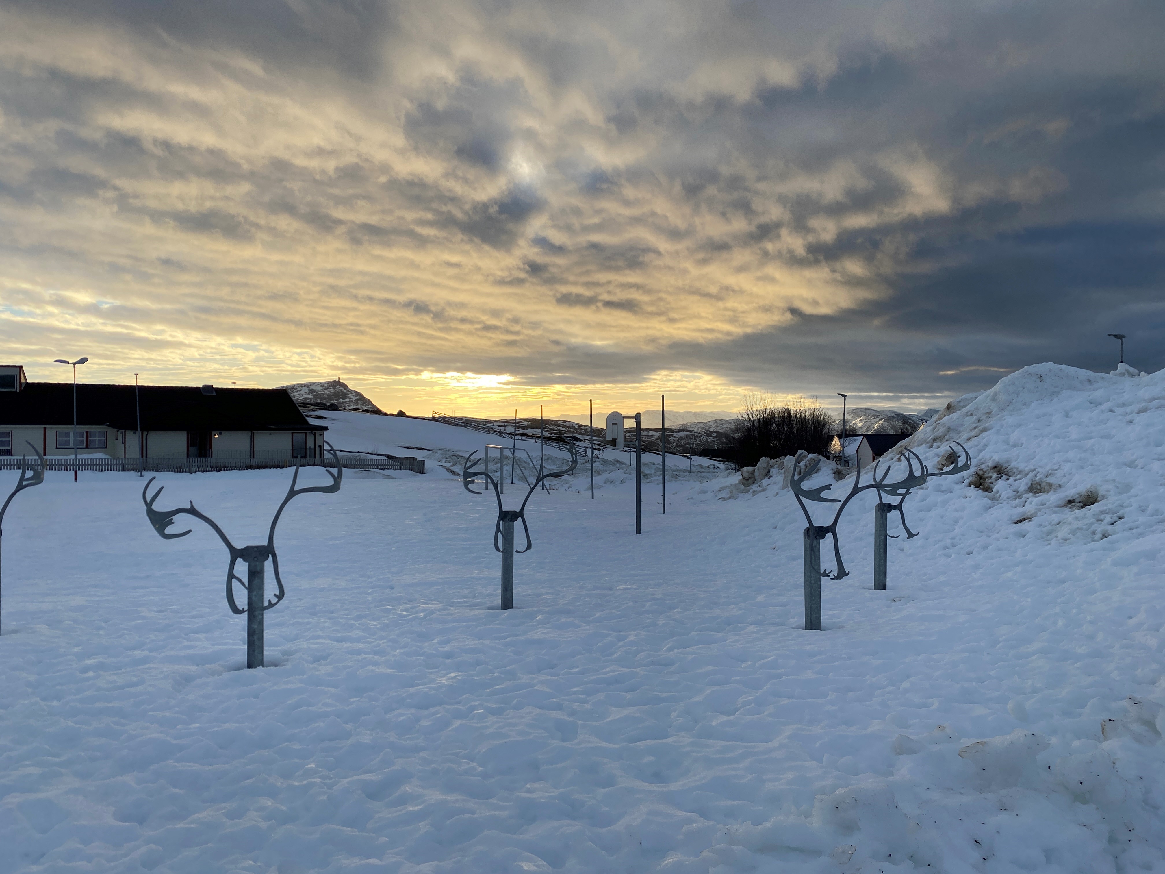 Lassokastebane ved Reindalen skole. Foto: Reindalen skole