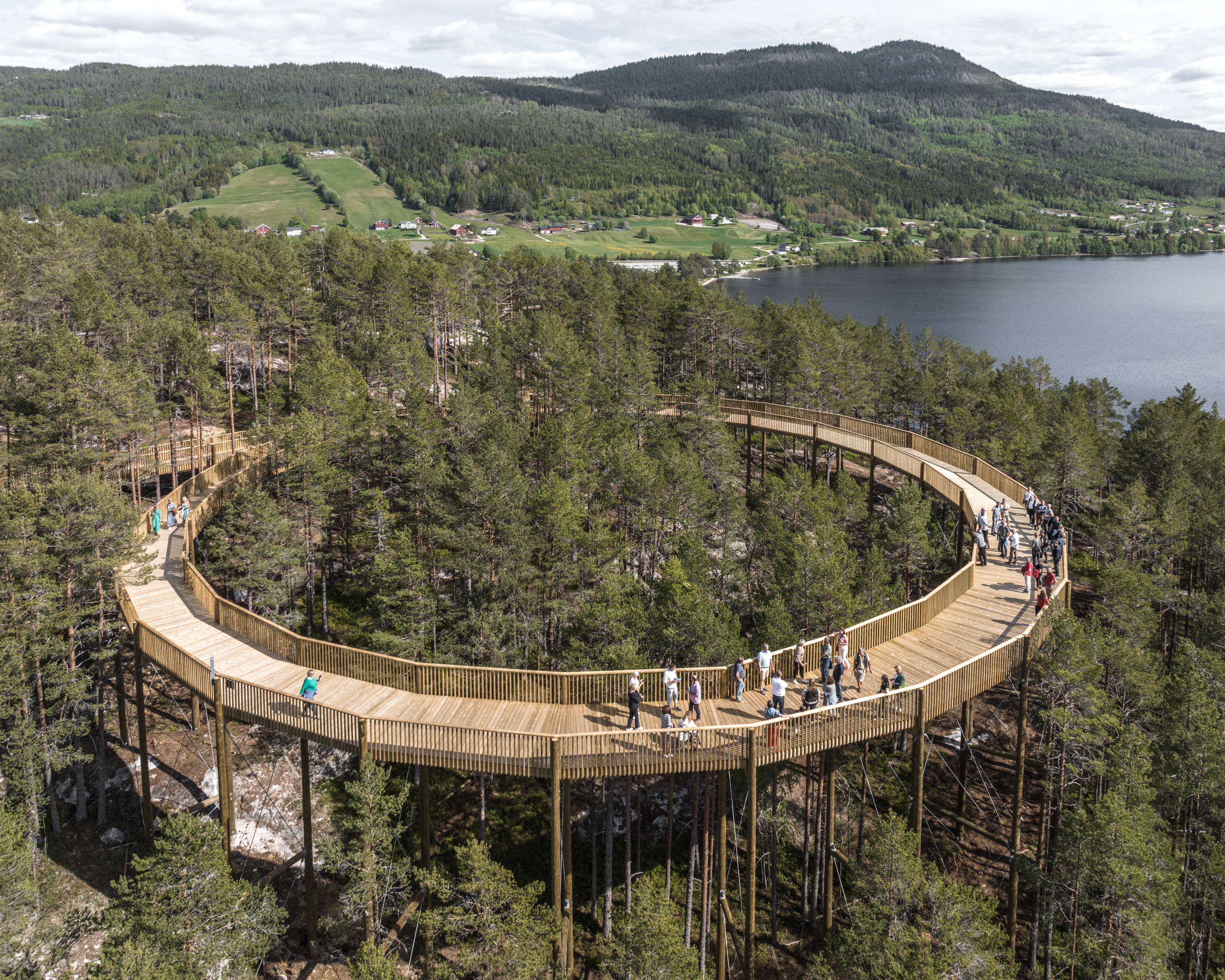 Med diameter på 45 meter og høgd på 16 meter er utssynssirkelen på toppen av Tretoppvegen imponerande, både som konstruksjon og attraksjon. Foto: Rasmus Hjortshøj