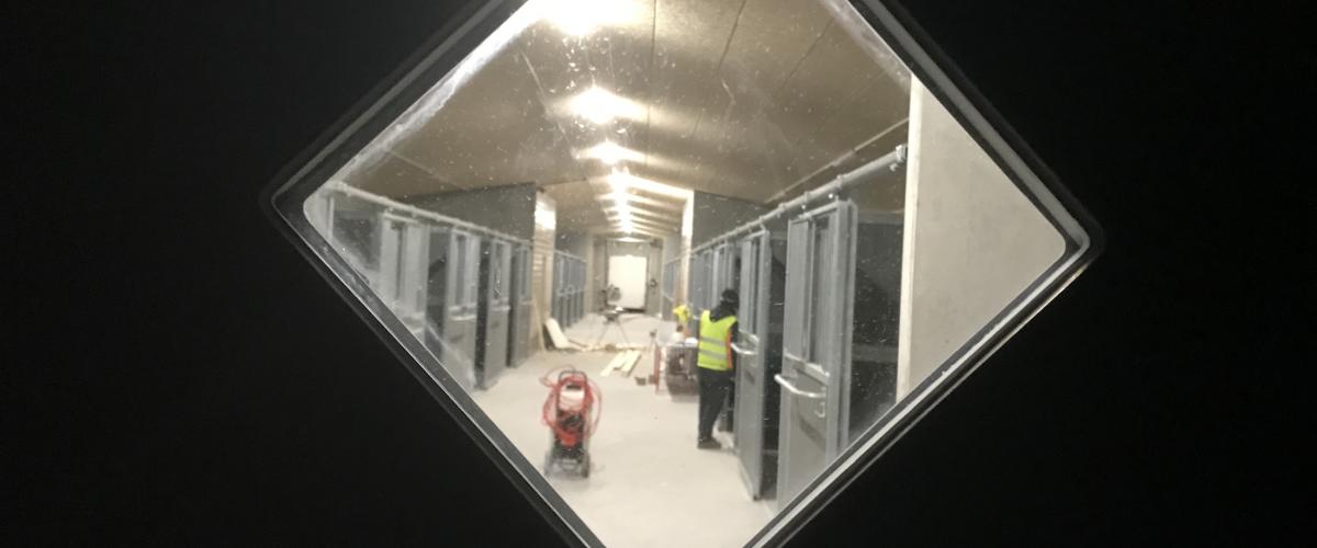 Stall gjennom vindu. Foto: HHA Haugaland Hestesport Arena stall