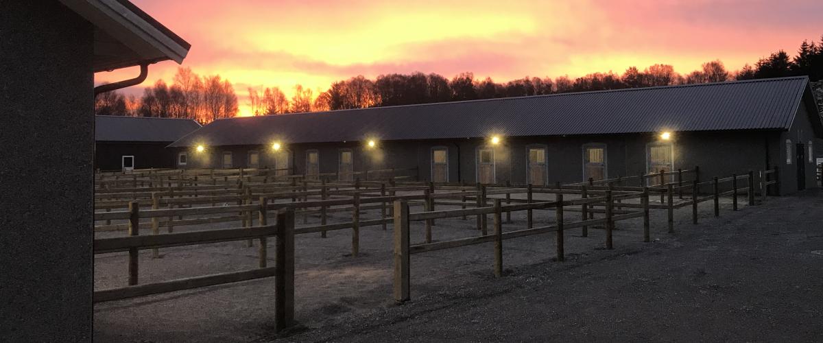 Uteområder. Foto: HHA Haugaland Hestesport Arena uteområder