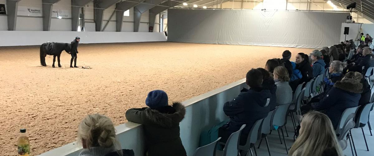 Ridehall. Foto: HHA Haugaland Hestesport Arena publikum