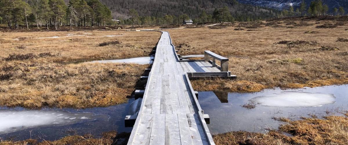 Surnadalskloppa en vårdag, fortsatt noe is igjen på myra