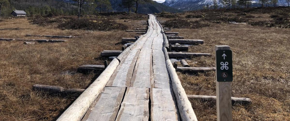 Den rekonstruerte kavlvegen en fin vårdag  med blå himmel