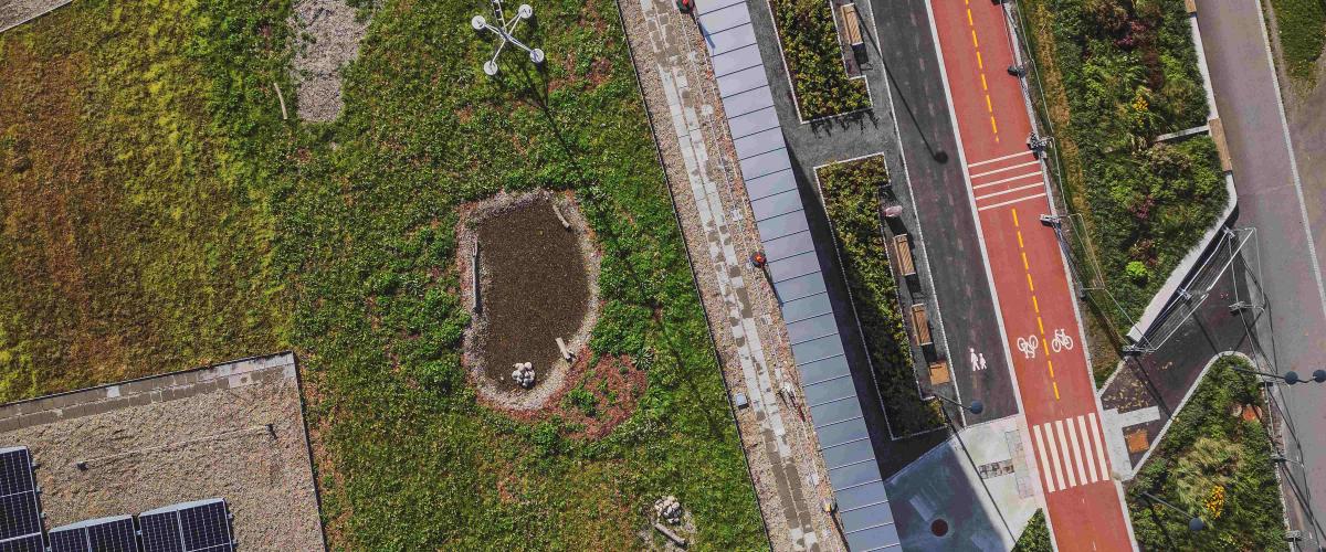 Taket er utstyrt med solfangere og grønt for å fange opp regnvann til gjenbruk i bassengene. Foto: Nadia Frantsen / Asplan Viak Taket med solfangere og grønt, og sykkel/gangveien sett ovenfra.
