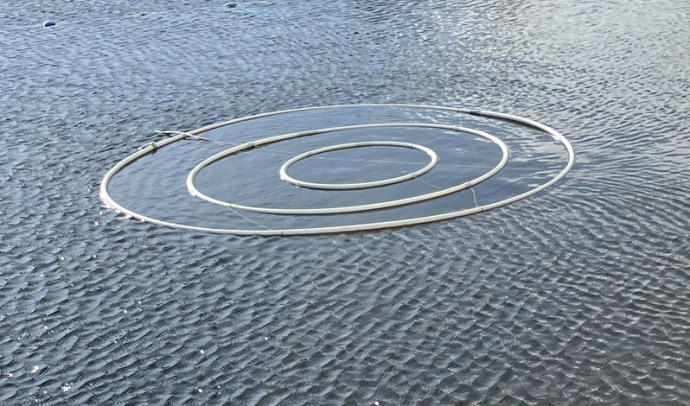 Bilde av blinkene som benyttes i casting, liggende å flyte på Holmendammen. Blinken består av flere ringer inni hverandre, for å avgjøre kasterens presisjon. 