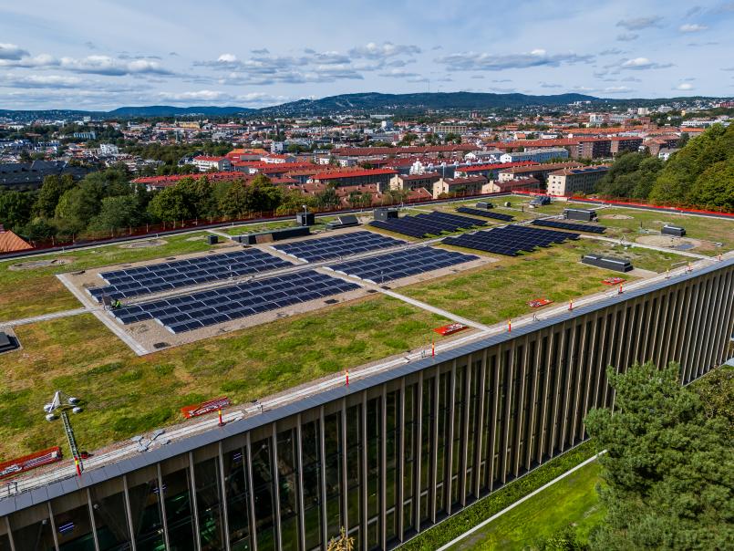 Solceller og gress på taket