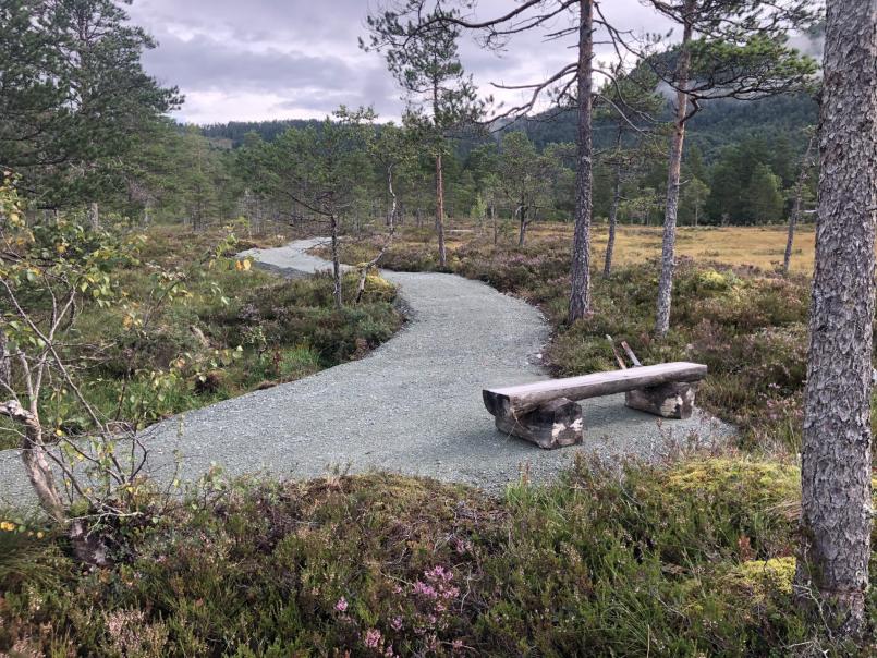 Gruset sti som slynger seg gjennom landskapet.