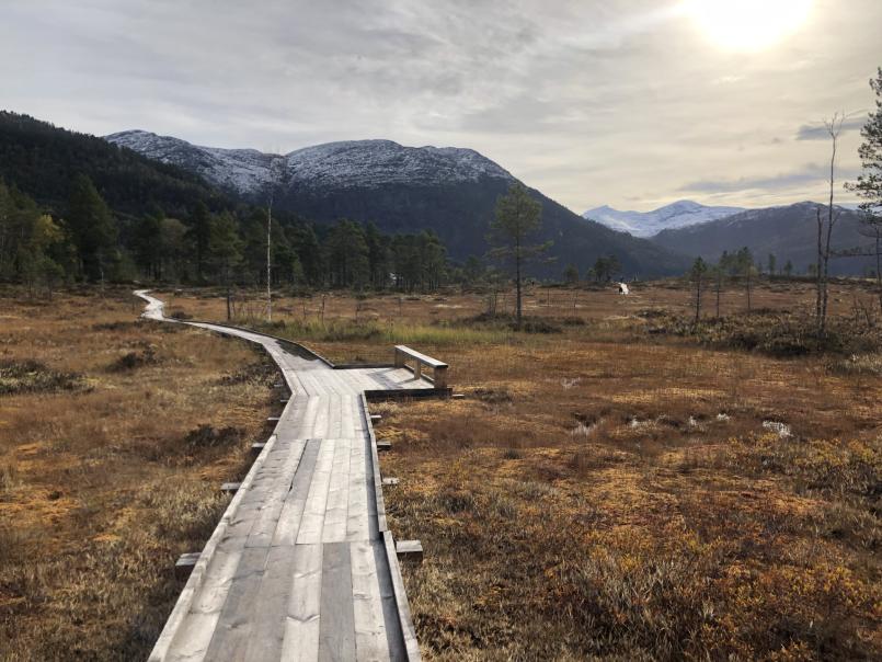Surnadalskloppa i naturskjønne omgivelser